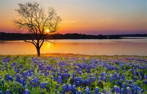 About Spring, Texas.